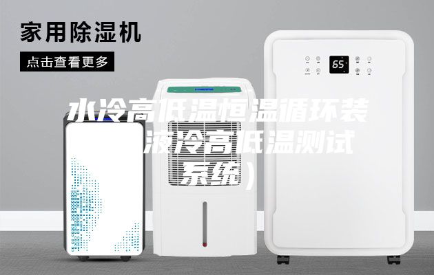 水冷高低温恒温循环装置（液冷高低温测试系统）