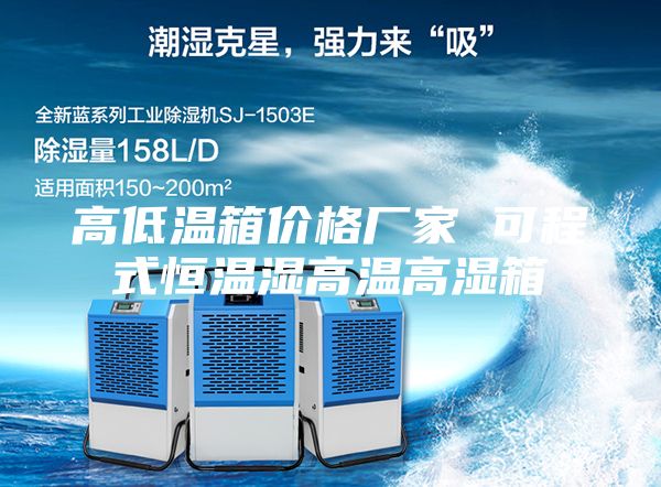 高低温箱价格厂家 可程式恒温湿高温高湿箱