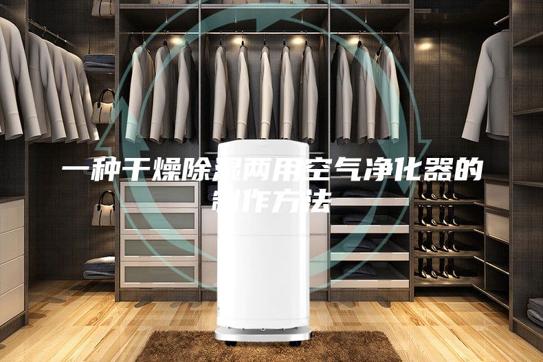 一种干燥除湿两用空气净化器的制作方法