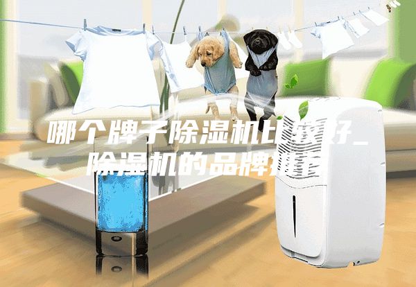 哪个牌子除湿机比较好_除湿机的品牌推荐