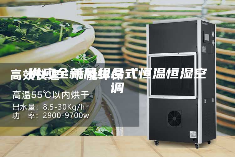 供应全新风组合式恒温恒湿空调