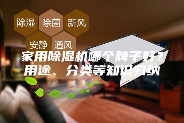 家用除湿机哪个牌子好？用途、分类等知识归纳