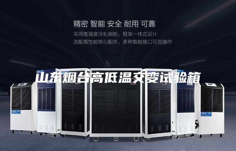 山东烟台高低温交变试验箱