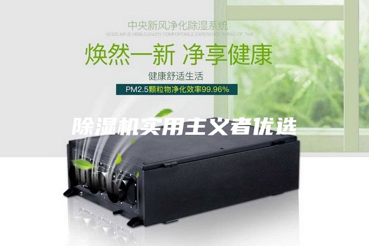 除湿机实用主义者优选