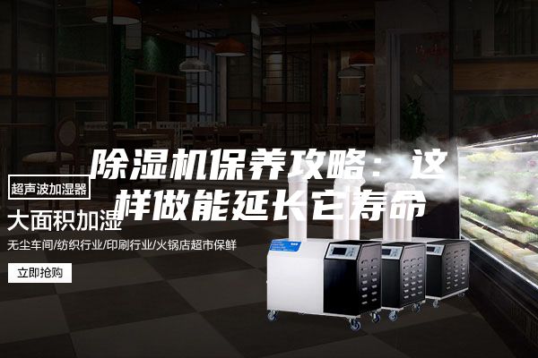 除湿机保养攻略：这样做能延长它寿命
