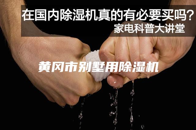 黄冈市别墅用除湿机