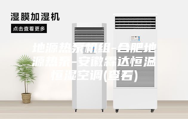地源热泵机组-合肥地源热泵-安徽霖达恒温恒湿空调(查看)