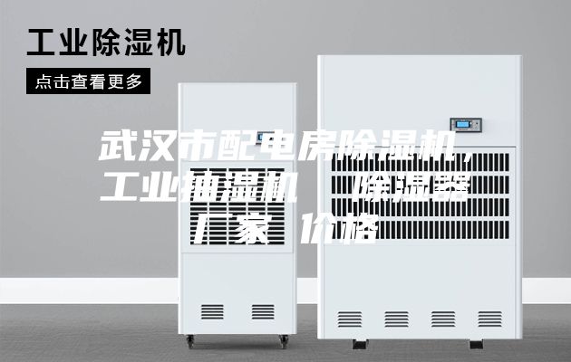 武汉市配电房除湿机，工业抽湿机  除湿器厂家 价格