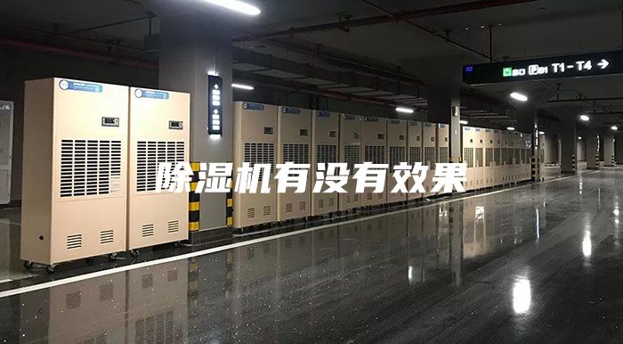 除湿机有没有效果