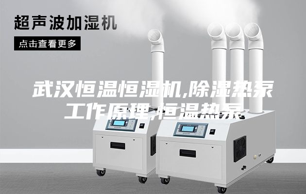 武汉恒温恒湿机,除湿热泵工作原理,恒温热泵