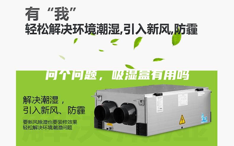 问个问题，吸湿盒有用吗