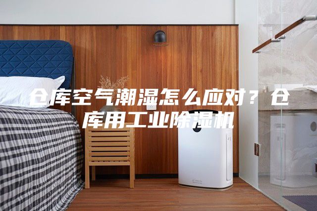 仓库空气潮湿怎么应对？仓库用工业除湿机