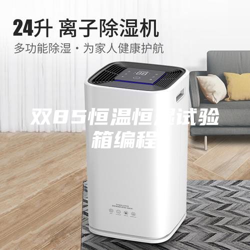 双85恒温恒湿试验箱编程