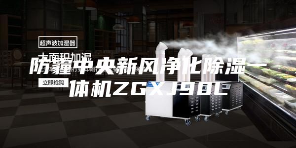 防霾中央新风净化除湿一体机ZGXJ90L