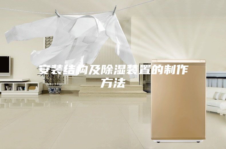 安装结构及除湿装置的制作方法