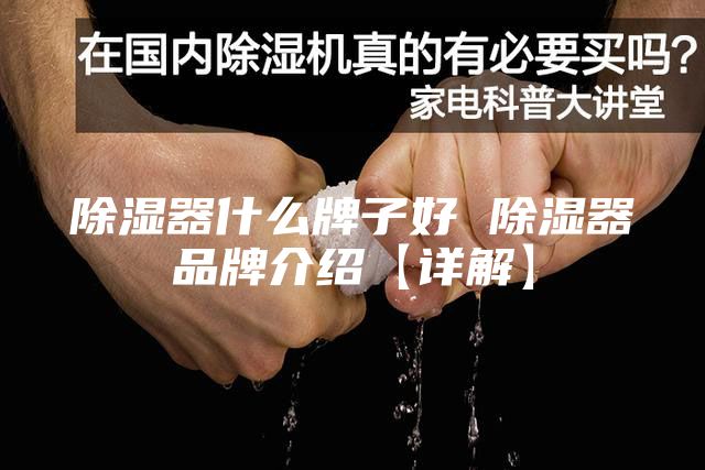 除湿器什么牌子好 除湿器品牌介绍【详解】