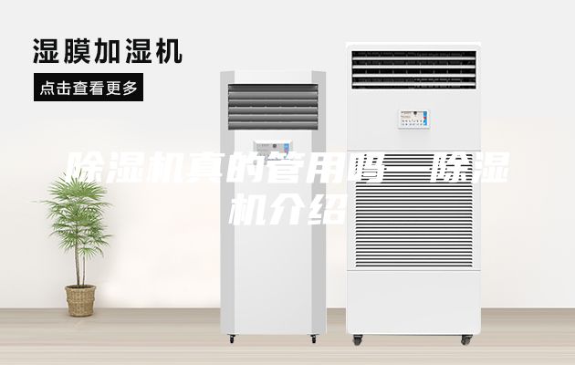 除湿机真的管用吗—除湿机介绍