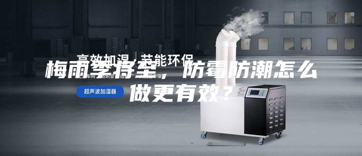 梅雨季将至，防霉防潮怎么做更有效？