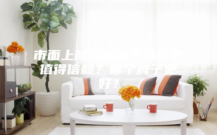 市面上除湿机哪个品牌更值得信赖？哪个牌子更好？