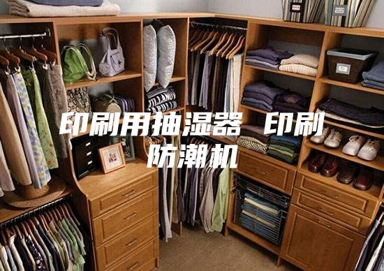 印刷用抽湿器 印刷防潮机