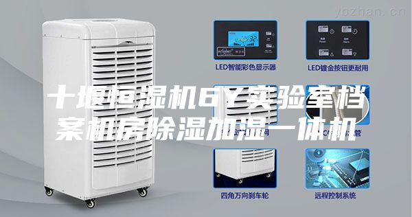 十堰恒湿机6Y实验室档案机房除湿加湿一体机