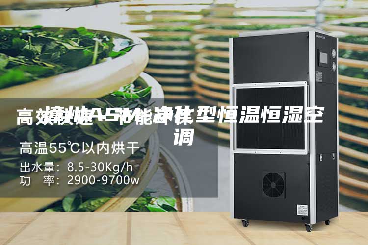 漳州ASM-净化型恒温恒湿空调