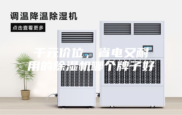 千元价位，省电又耐用的除湿机哪个牌子好