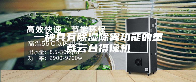 一种具有除湿除雾功能的重载云台摄像机