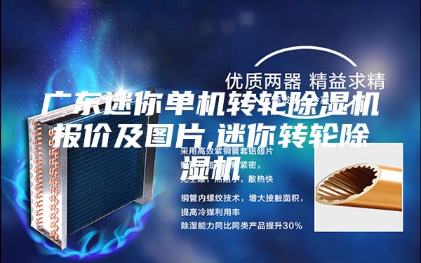 广东迷你单机转轮除湿机报价及图片,迷你转轮除湿机