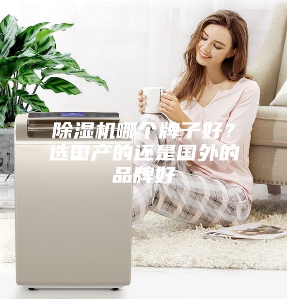 除湿机哪个牌子好？选国产的还是国外的品牌好