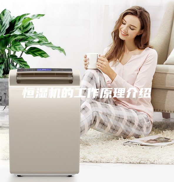 恒湿机的工作原理介绍