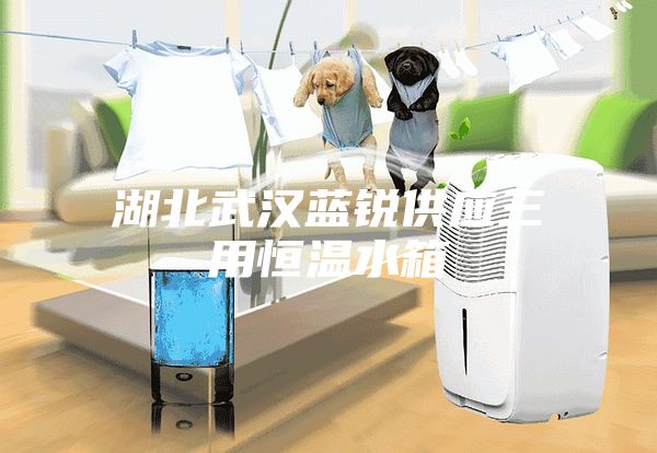 湖北武汉蓝锐供应三用恒温水箱