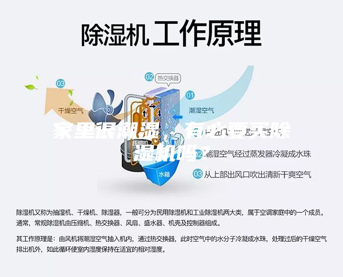 家里很潮湿，有必要买除湿机吗？