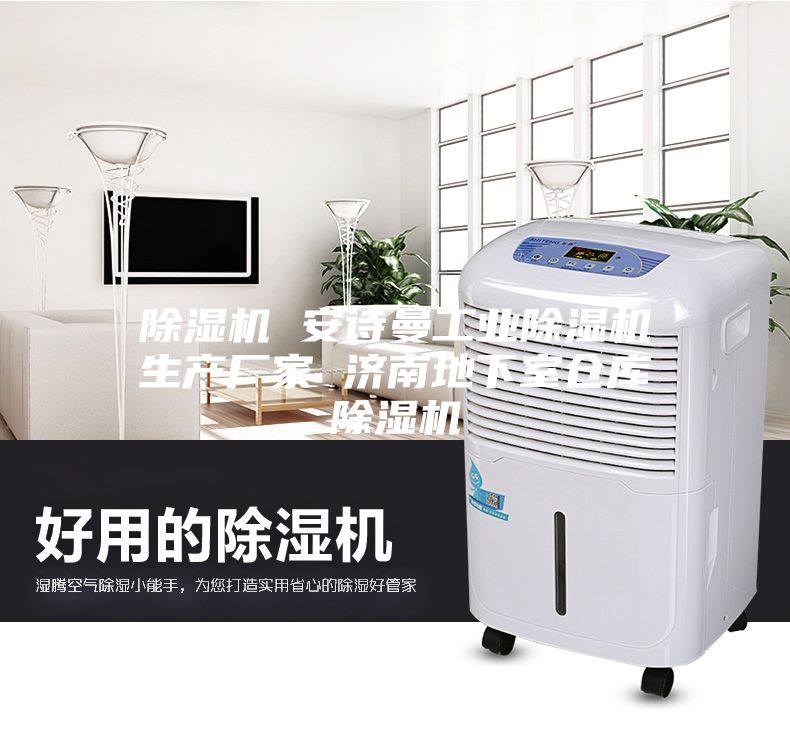 除湿机 安诗曼工业除湿机生产厂家 济南地下室仓库除湿机