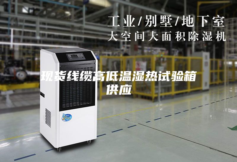 现货线缆高低温湿热试验箱供应