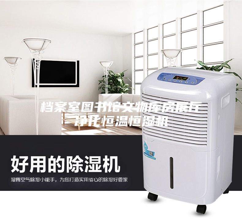 档案室图书馆文物库房展厅净化恒温恒湿机
