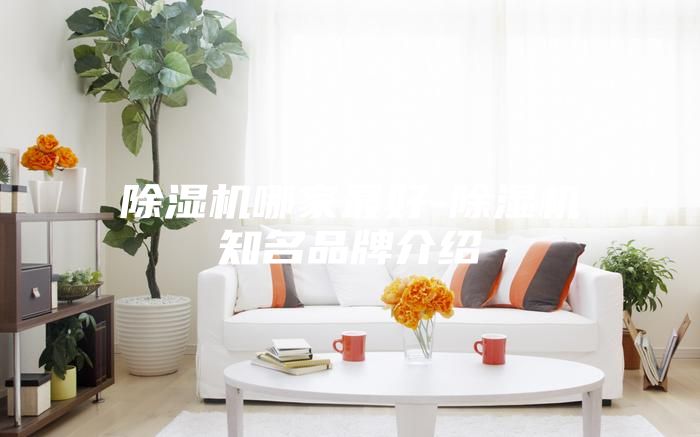除湿机哪家最好-除湿机知名品牌介绍