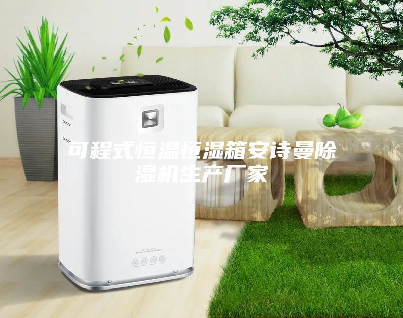 可程式恒温恒湿箱安诗曼除湿机生产厂家