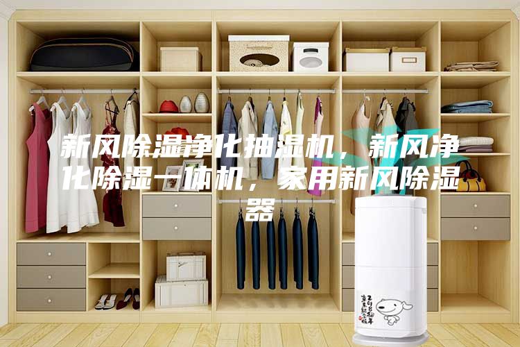 新风除湿净化抽湿机，新风净化除湿一体机，家用新风除湿器
