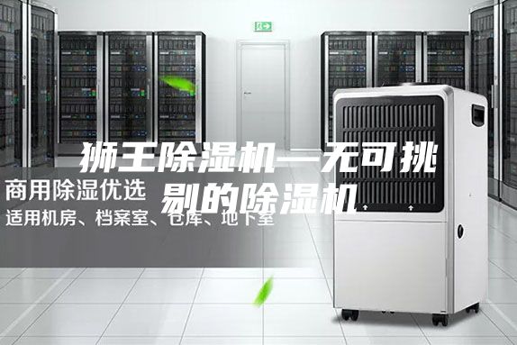 狮王除湿机—无可挑剔的除湿机