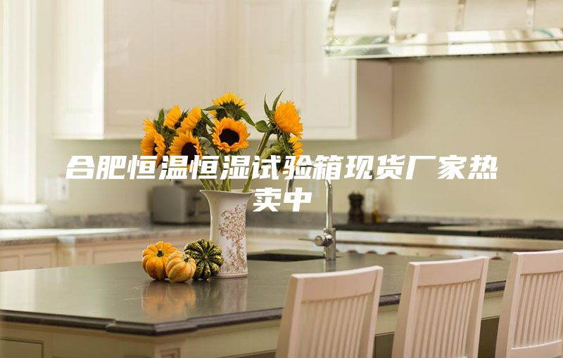 合肥恒温恒湿试验箱现货厂家热卖中