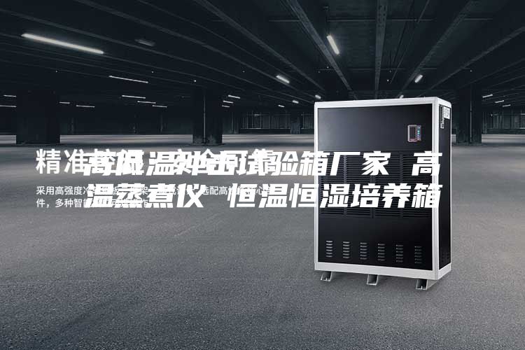 高低温冲击试验箱厂家 高温蒸煮仪 恒温恒湿培养箱