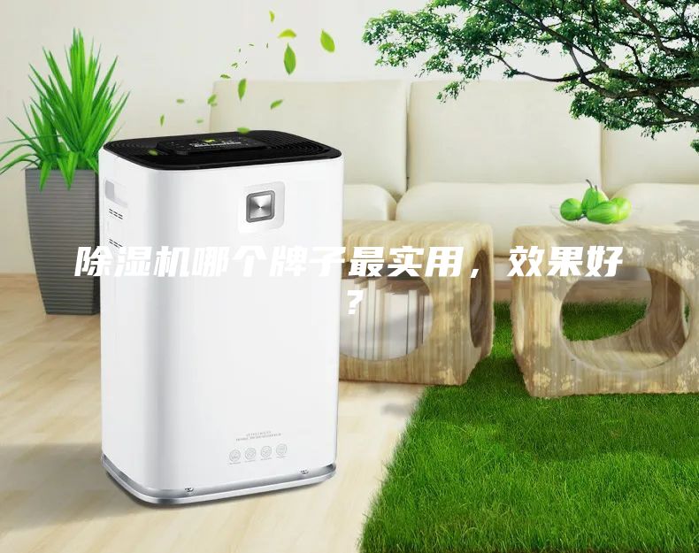 除湿机哪个牌子最实用，效果好？