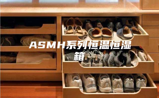 ASMH系列恒温恒湿箱