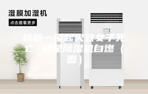 桃园一屋起火致女子死亡 疑是除湿机自燃（图）