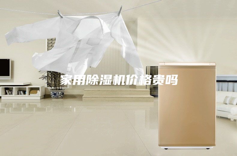 家用除湿机价格贵吗