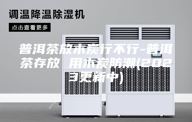 普洱茶放木炭行不行-普洱茶存放 用木炭防潮(2023更新中)