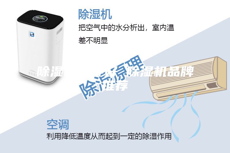 除湿机哪种好 除湿机品牌推荐