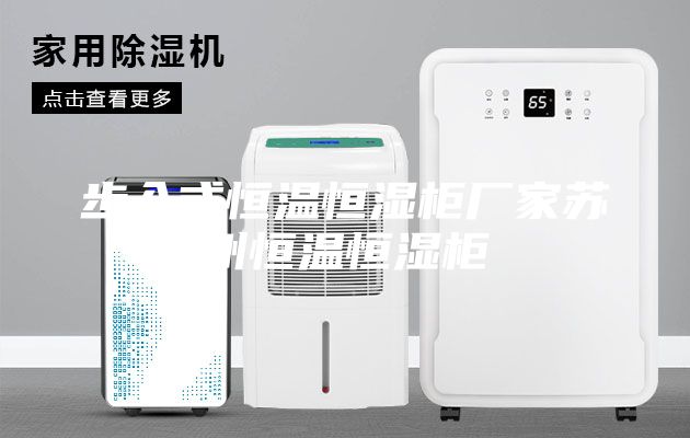 步入式恒温恒湿柜厂家苏州恒温恒湿柜