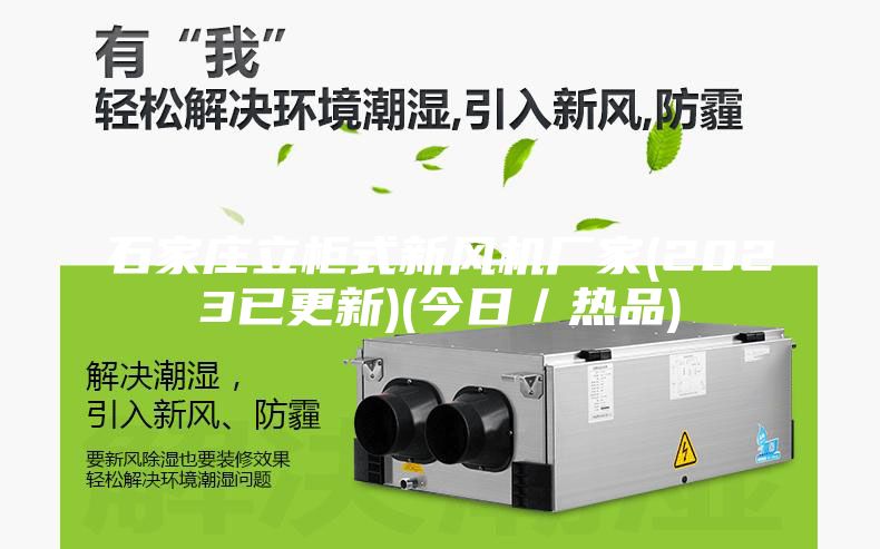 石家庄立柜式新风机厂家(2023已更新)(今日／热品)